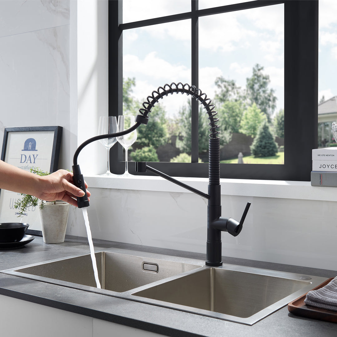 Nette Single-Handle Kitchen Faucet