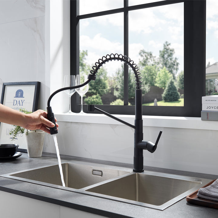 Nette Single-Handle Kitchen Faucet