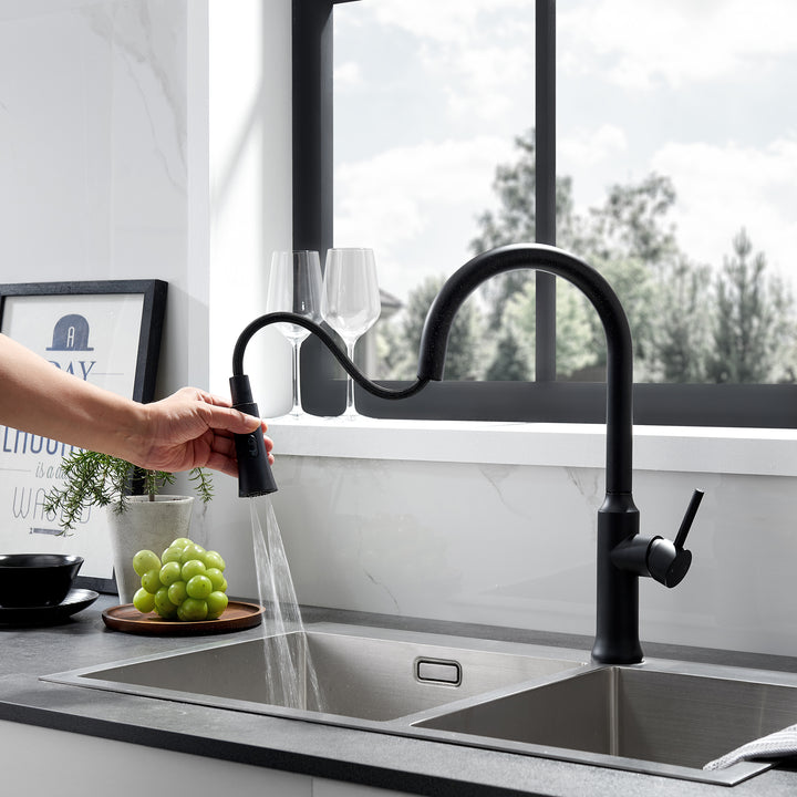 Oribe Single-Handle Kitchen Faucet