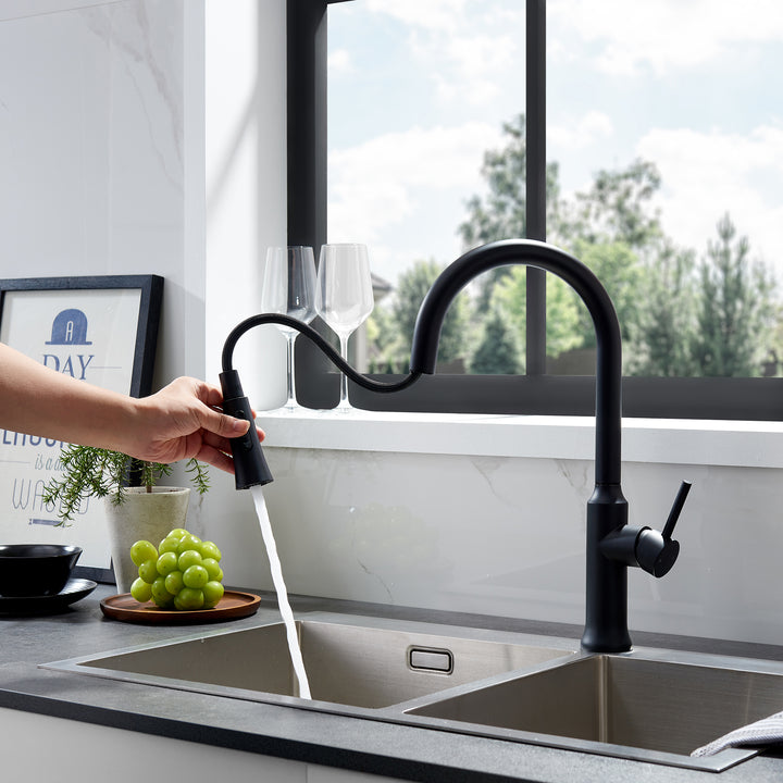 Oribe Single-Handle Kitchen Faucet