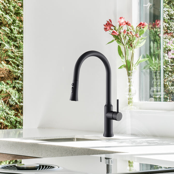 Oribe Single-Handle Kitchen Faucet