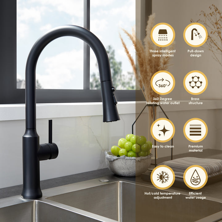 Oribe Single-Handle Kitchen Faucet