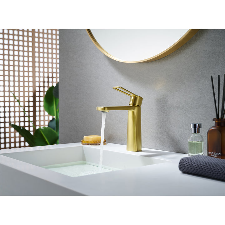 Paula Single Hole Single-Handle Bathroom Faucet