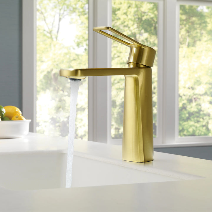 Paula Single Hole Single-Handle Bathroom Faucet