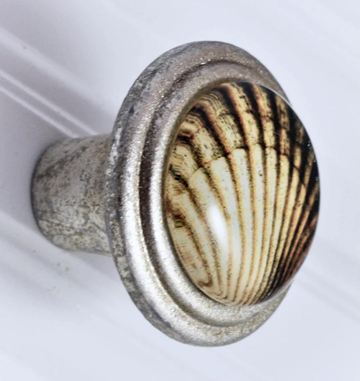 Charleston Knob Company Scallop Shell Art Knob - handsome brushed silver knob