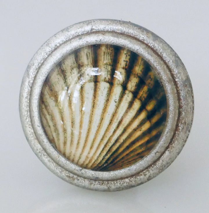 Charleston Knob Company Scallop Shell Art Knob - handsome brushed silver knob