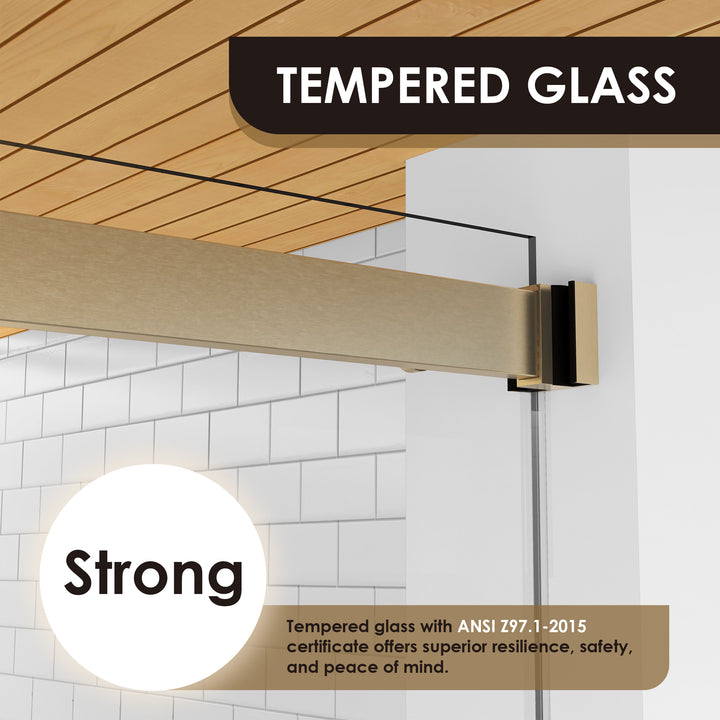 Marcelo 64" W x 76" H By Pass Frameless Shower Door