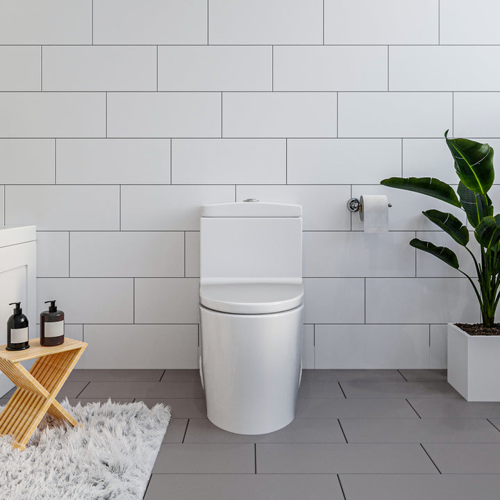 Savona Dual Flush Elongated One-Piece Toilet (Seat Included)