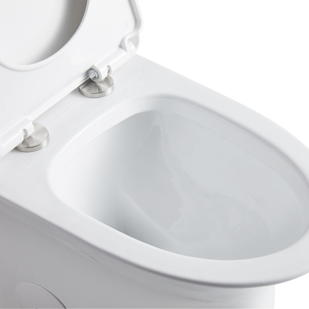 Ibiza 1.6/1.1 GPF Dual Flush Elongated One-Piece Toilet in White