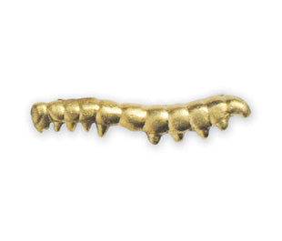 Michael Aram Insect Collection Gold-Tone Caterpillar Cabinet Pull - cabinetknobsonline