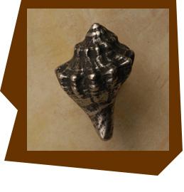 Anne at Home Conch Shell Cabinet Knob-Small - cabinetknobsonline