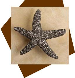 Anne At Home Starfish Cabinet Knob-Medium - cabinetknobsonline