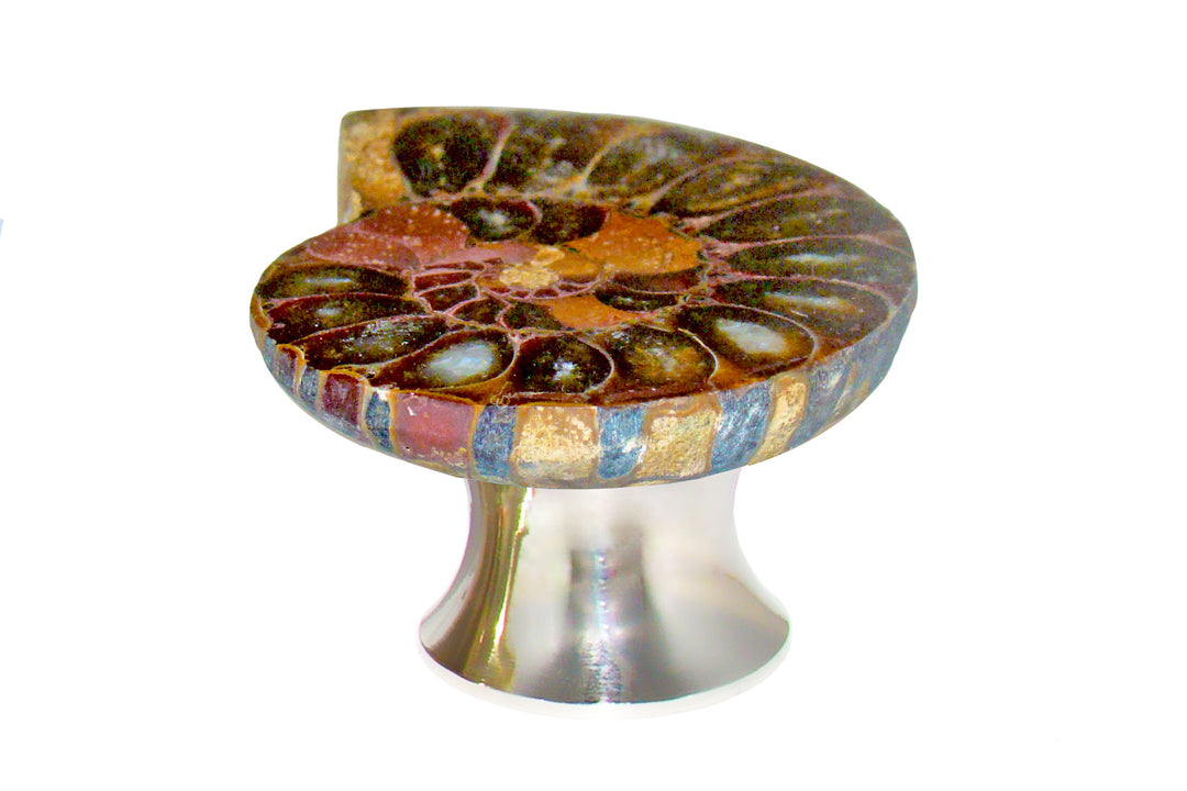 Gemstone Hardware Ammonite Fossil Cabinet Knob-Polished Stainless Steel - cabinetknobsonline